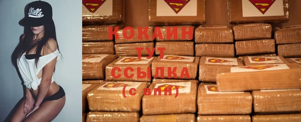 spice Дмитриев
