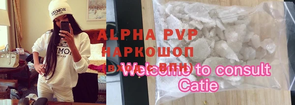 spice Дмитриев