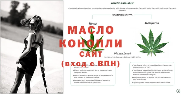 spice Дмитриев