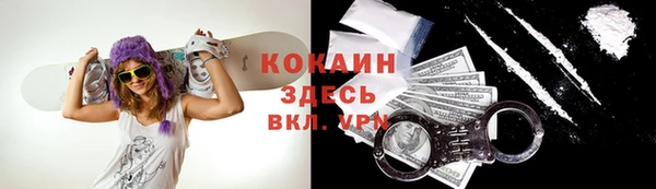 spice Дмитриев