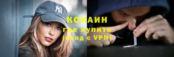 spice Дмитриев