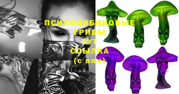 амф Дмитров