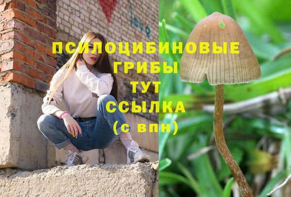 амф Дмитров