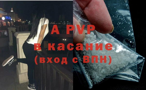 spice Дмитриев