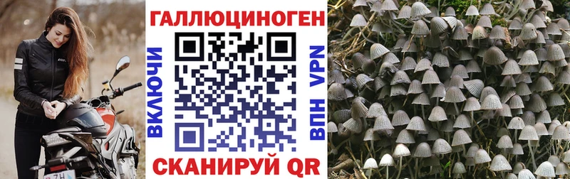 Купить закладки  Карабаш  Галлюциногенные грибы ЛСД 