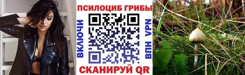 Галлюциногенные грибы мухоморы Карабаш